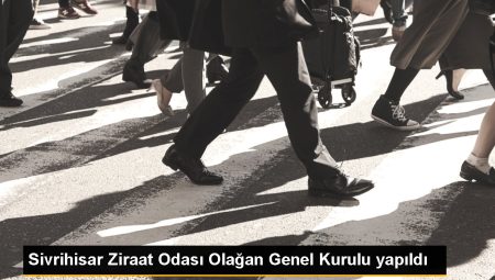 Sivrihisar ilçesinde Ziraat Odası Başkan Seçimi Tamamlandı