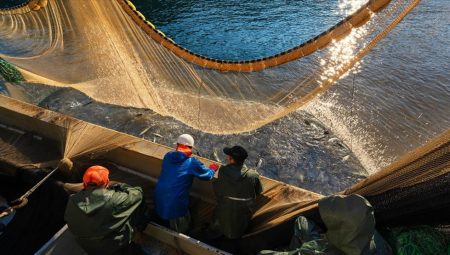 Denizlerde av yasağı başladı